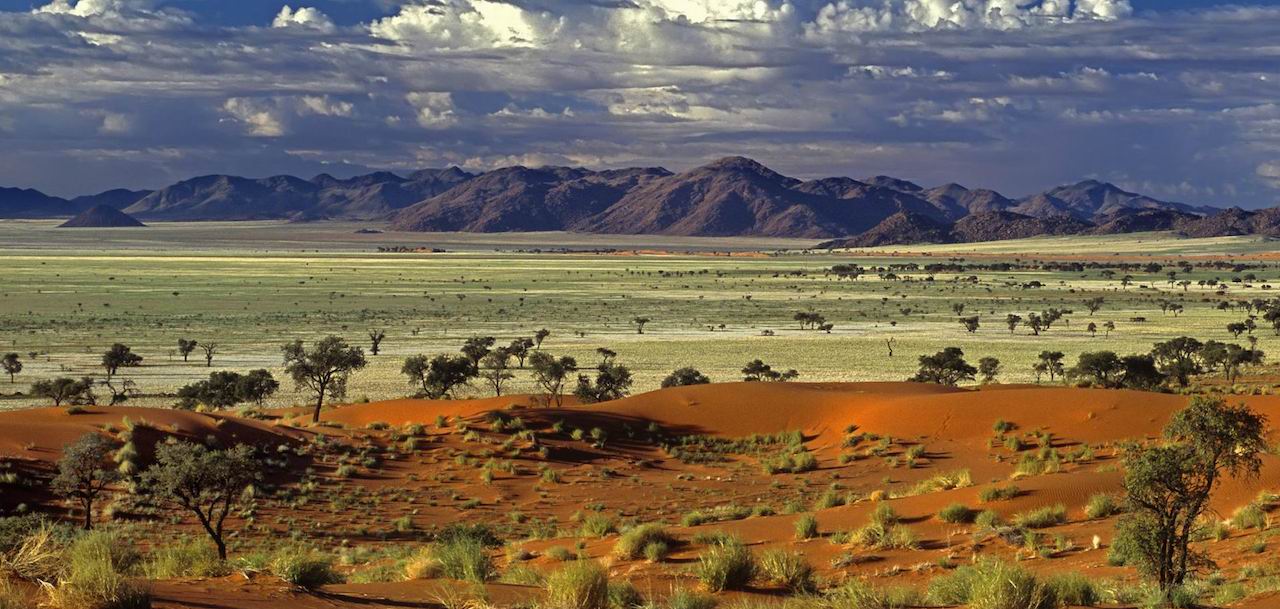 home-james-global-real-estate-namibia-tok-tokkie-desert