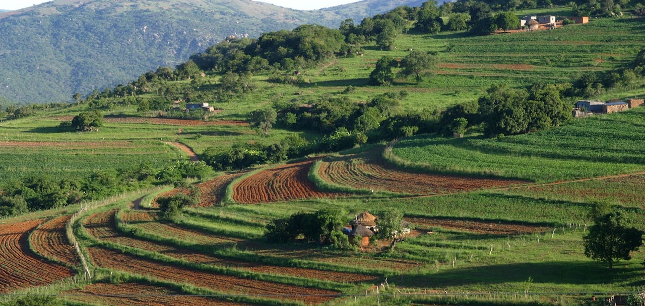 home-james-global-real-estate-swaziland-agriculture